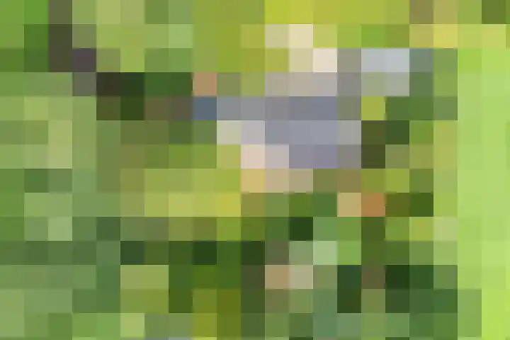 Elfde Wijk 30 Rheezerveen thumbnail 94