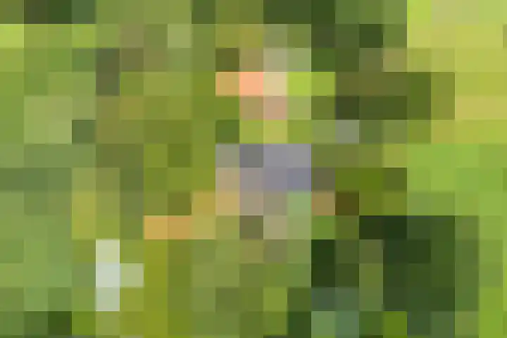 Elfde Wijk 30 Rheezerveen thumbnail 95