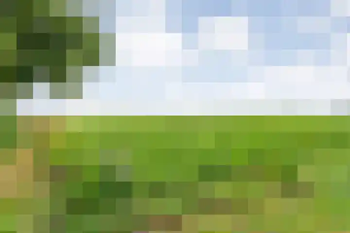 Elfde Wijk 30 Rheezerveen thumbnail 97