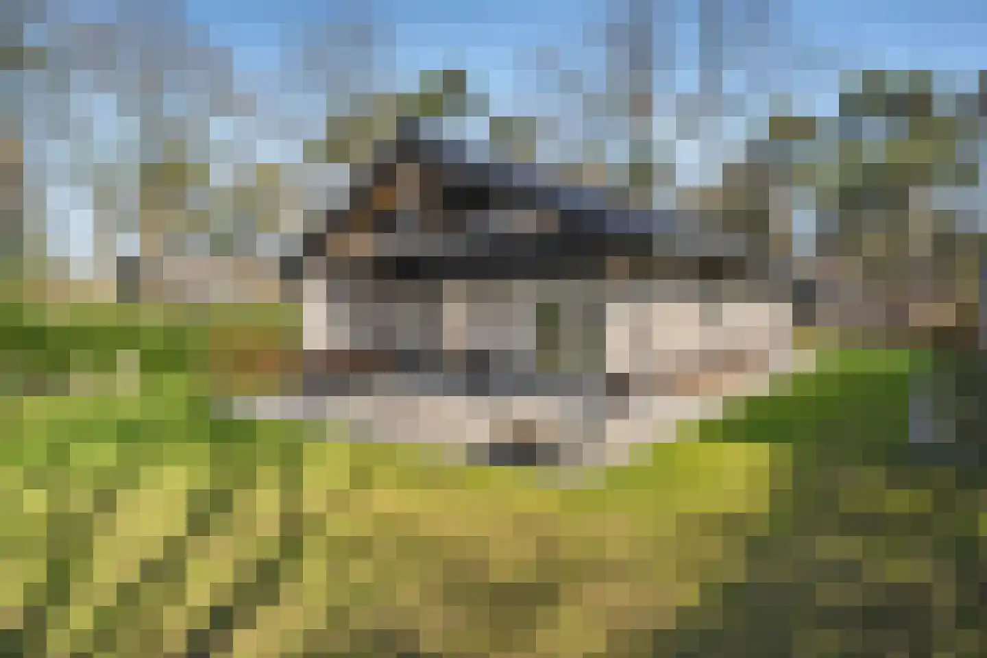 Elfde Wijk 40 a R19 Rheezerveen thumbnail 23