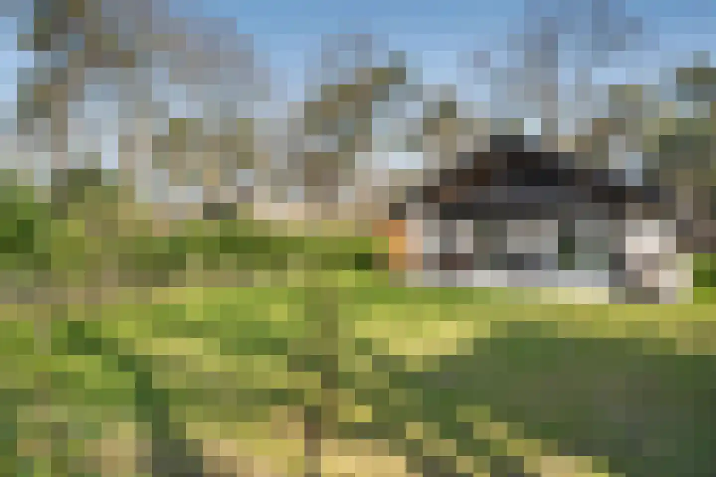 Elfde Wijk 40 a R19 Rheezerveen thumbnail 26