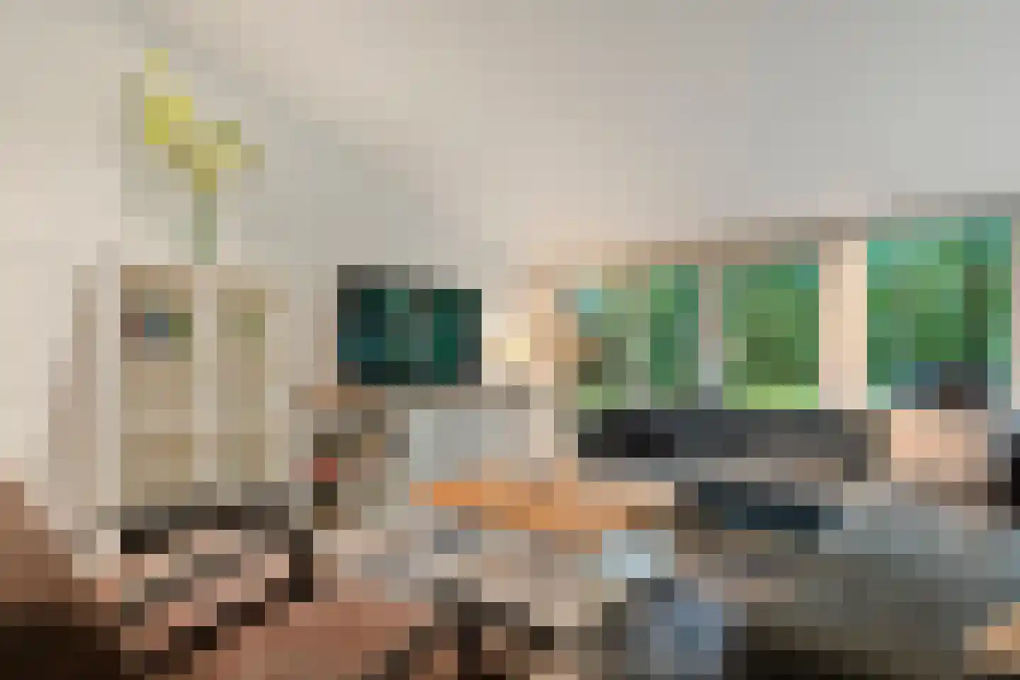 Elfde Wijk 40 a R2 Rheezerveen thumbnail 10