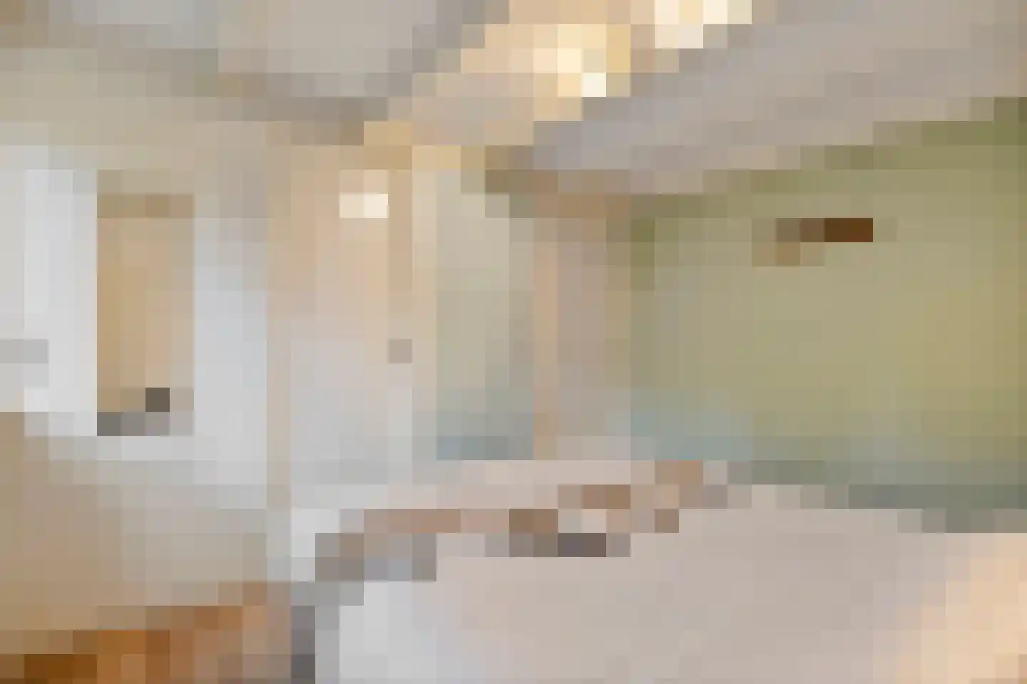 Elfde Wijk 40 a R2 Rheezerveen thumbnail 21