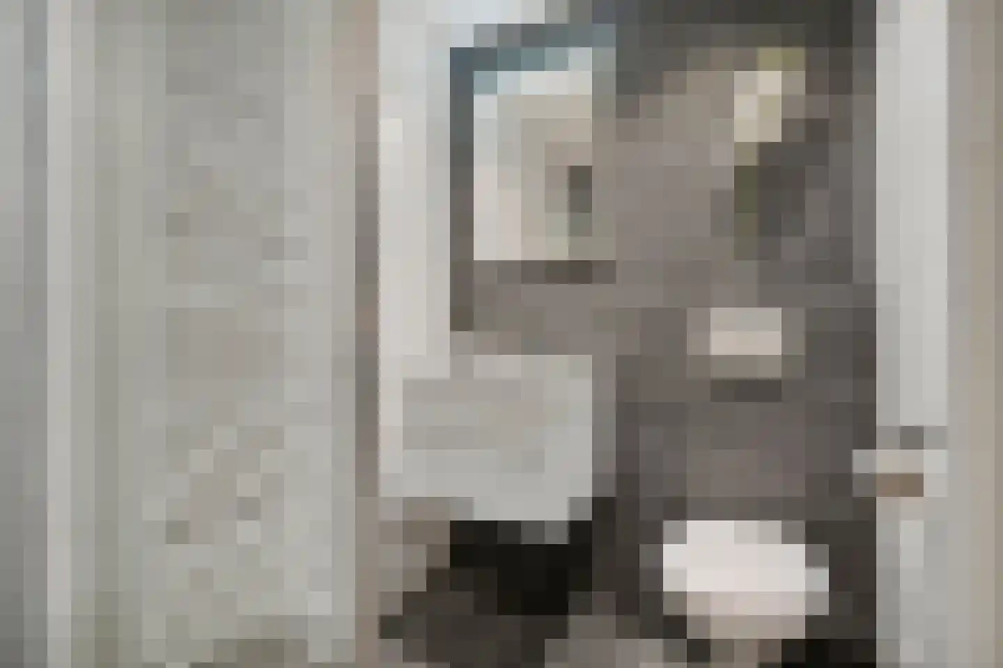 Elfde Wijk 40 a R2 Rheezerveen thumbnail 23
