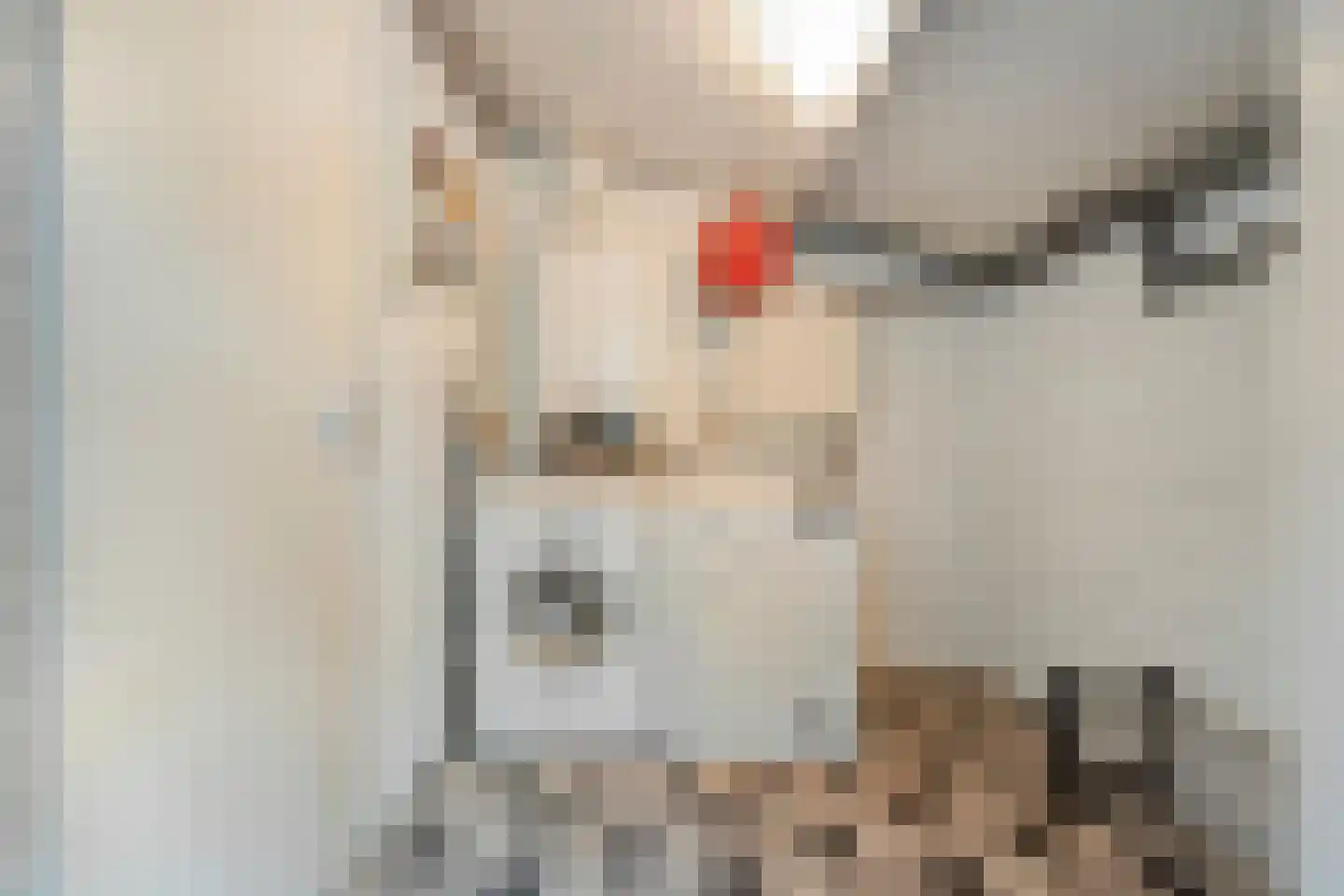 Elfde Wijk 40 a R2 Rheezerveen thumbnail 24