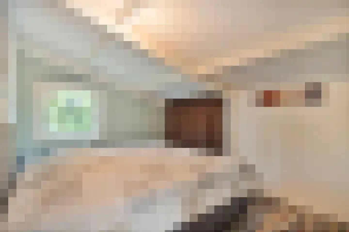 Elfde Wijk 40 a R2 Rheezerveen thumbnail 31