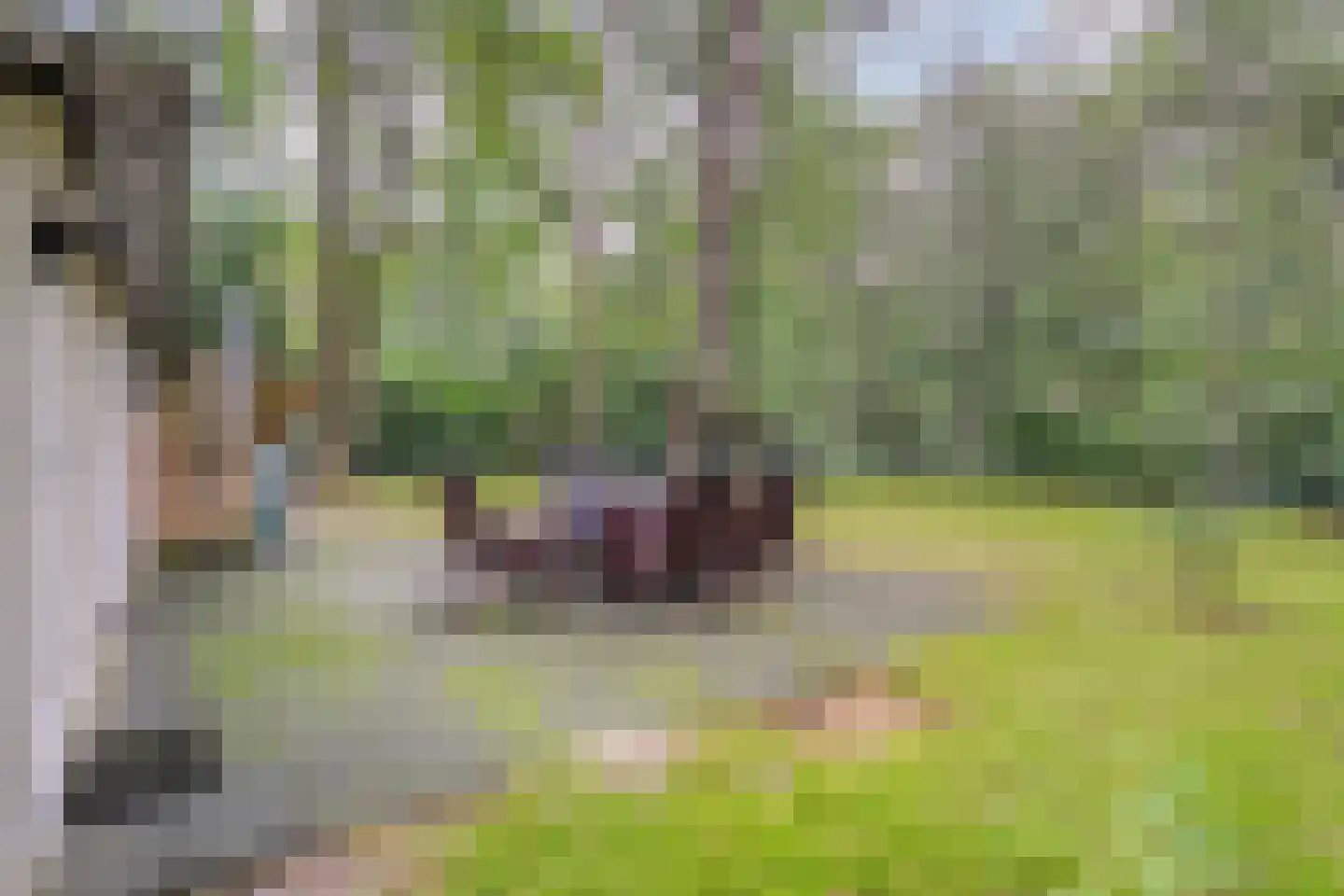 Elfde Wijk 40 a R2 Rheezerveen thumbnail 33