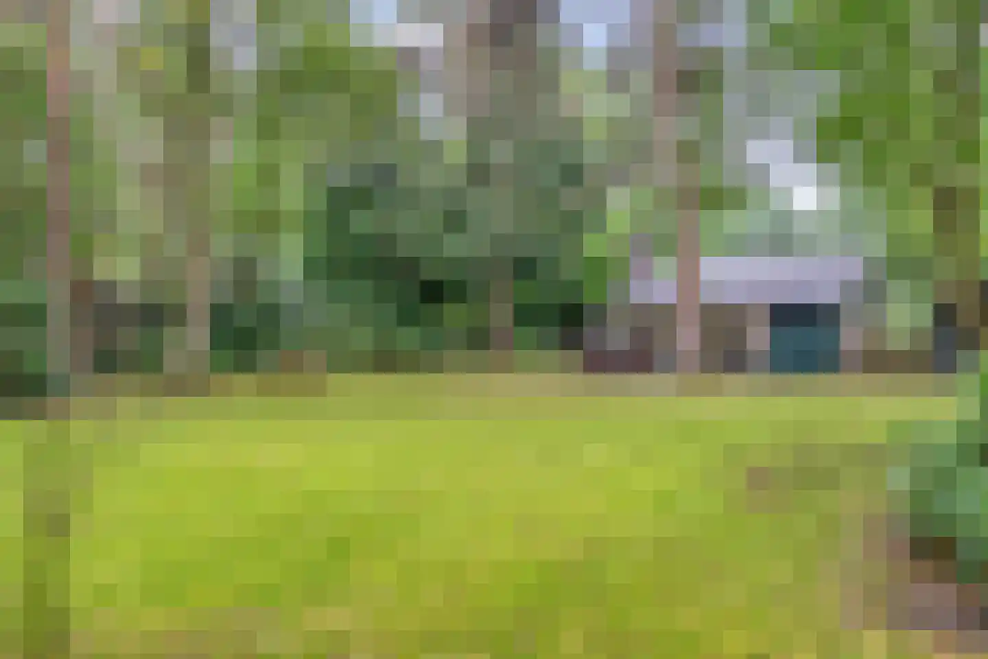 Elfde Wijk 40 a R2 Rheezerveen thumbnail 37