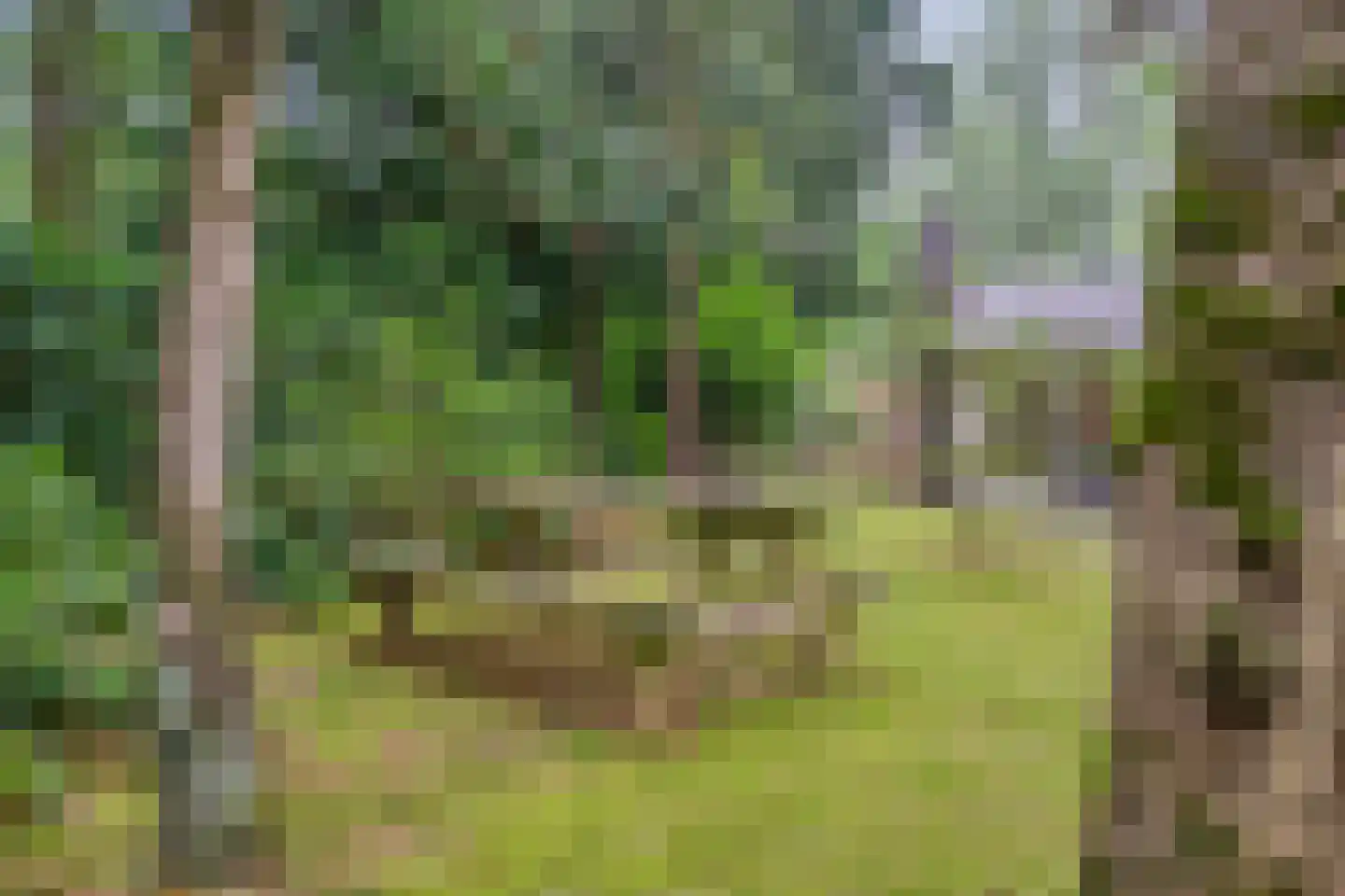 Elfde Wijk 40 a R2 Rheezerveen thumbnail 38