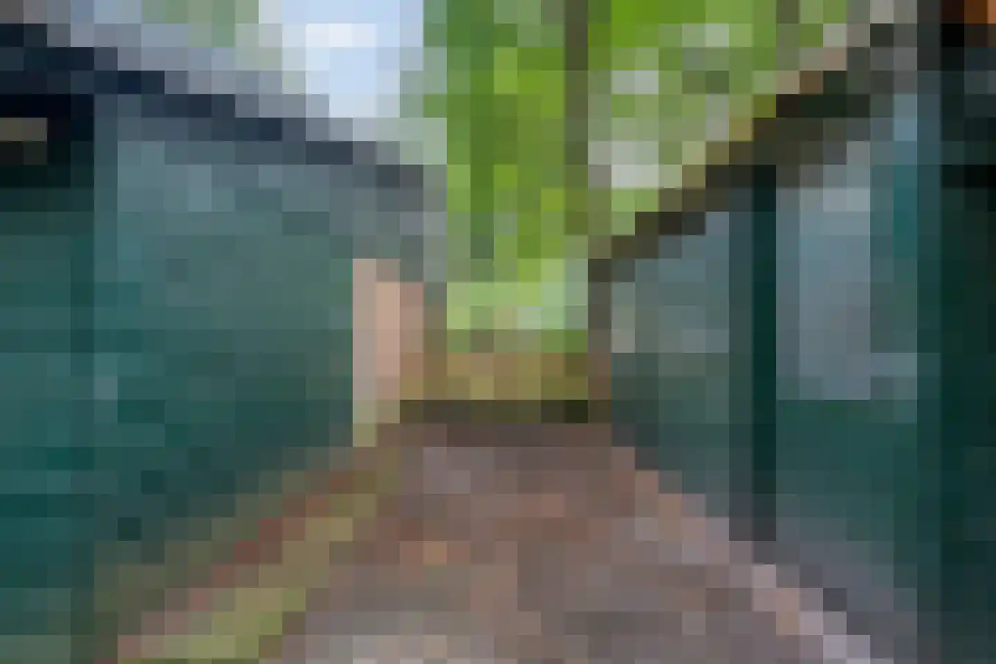 Elfde Wijk 40 a R2 Rheezerveen thumbnail 42