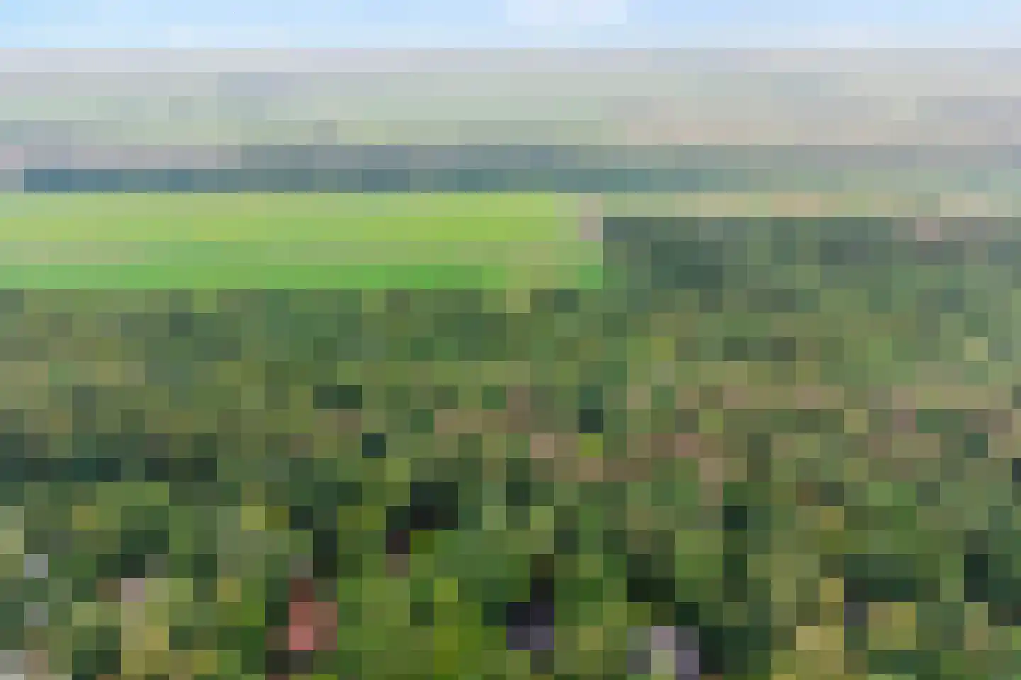 Elfde Wijk 40 a R2 Rheezerveen thumbnail 45