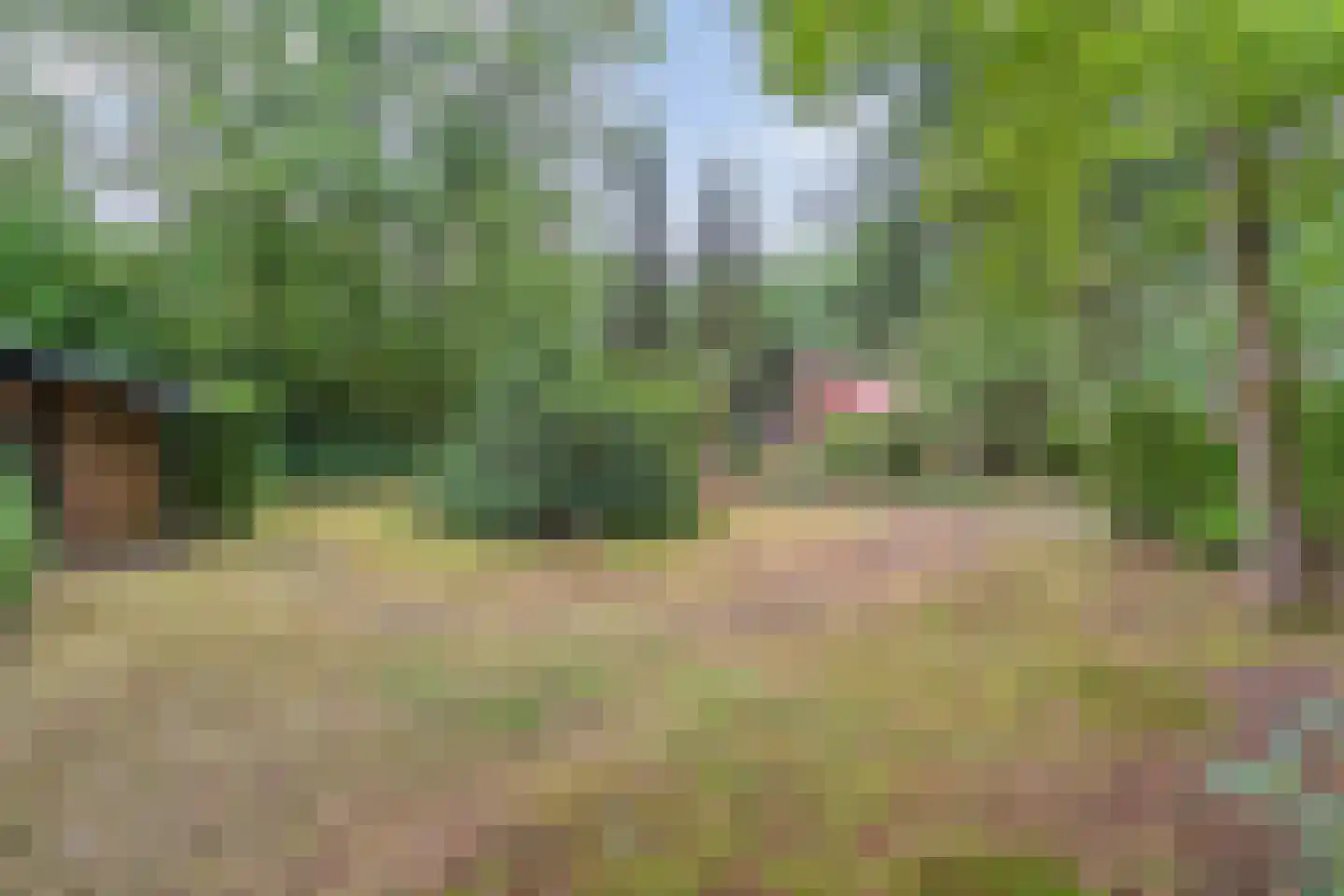 Elfde Wijk 40 a R2 Rheezerveen thumbnail 48