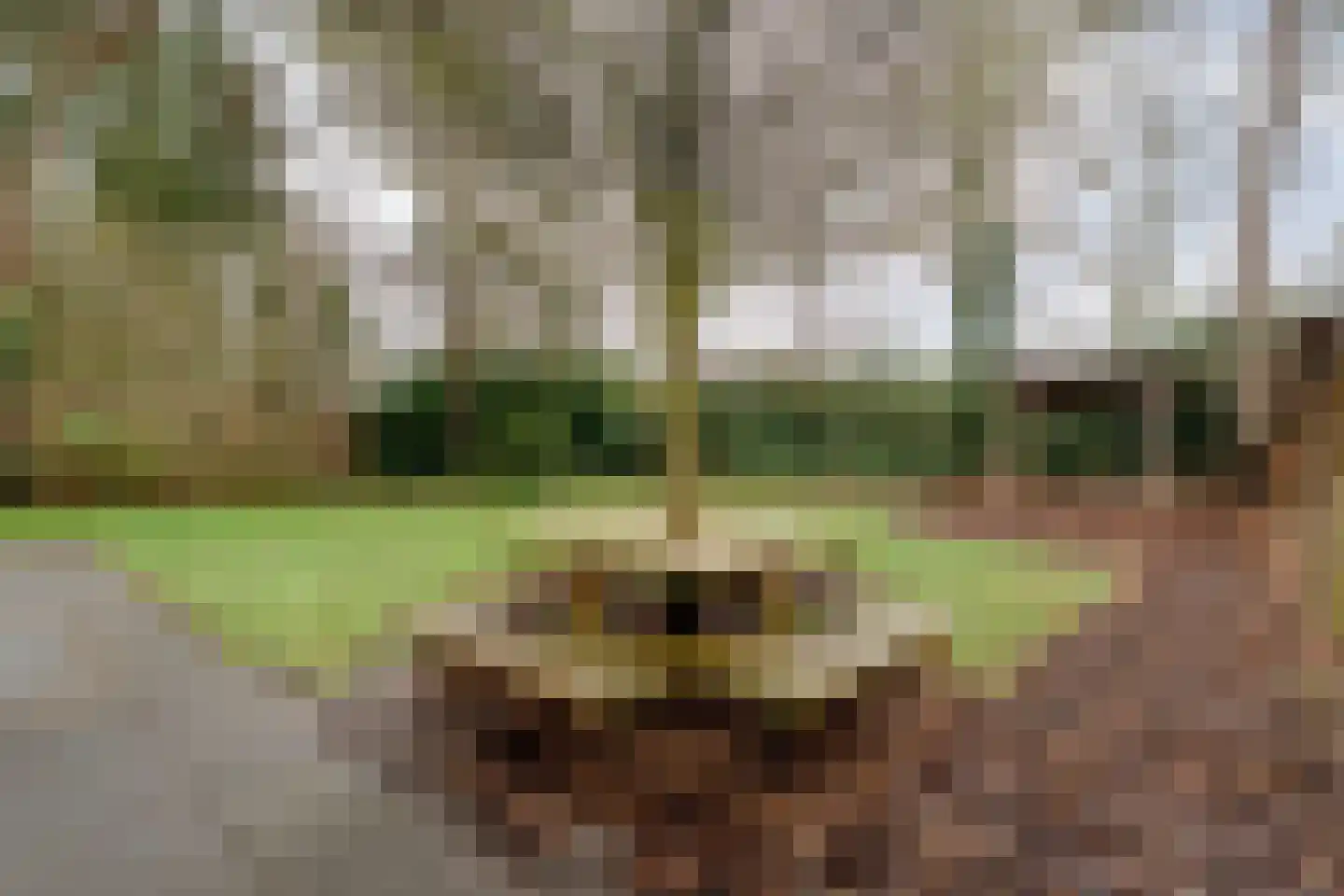 Elfde Wijk 40 a R22 Rheezerveen thumbnail 31