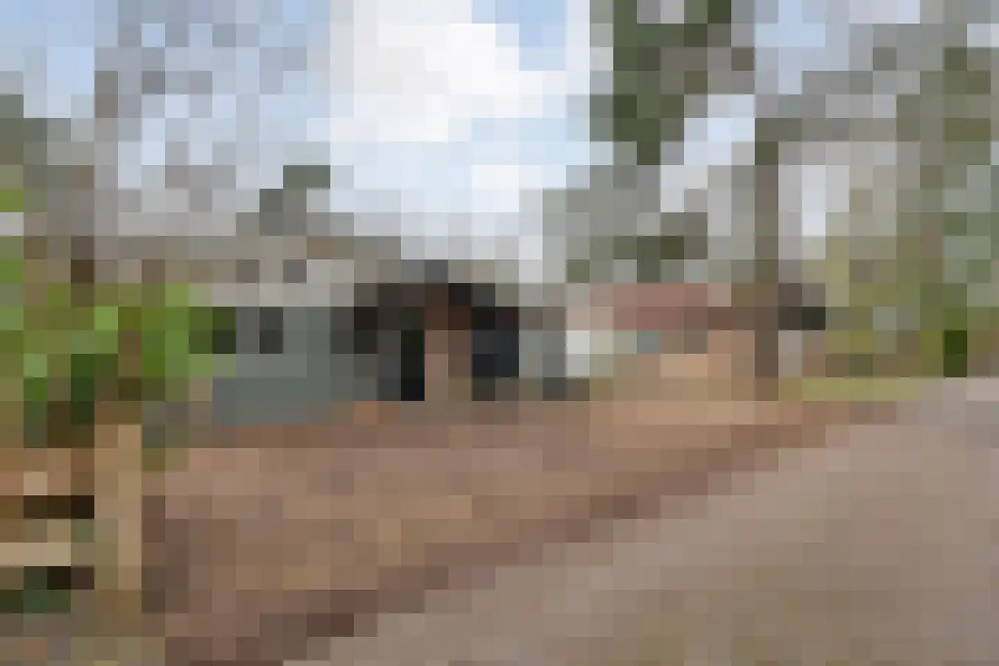 Elfde Wijk 40 a R22 Rheezerveen thumbnail 4