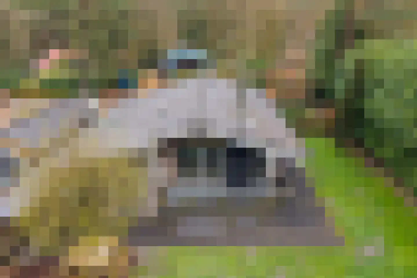 Elfde Wijk 40 a R22 Rheezerveen thumbnail 7