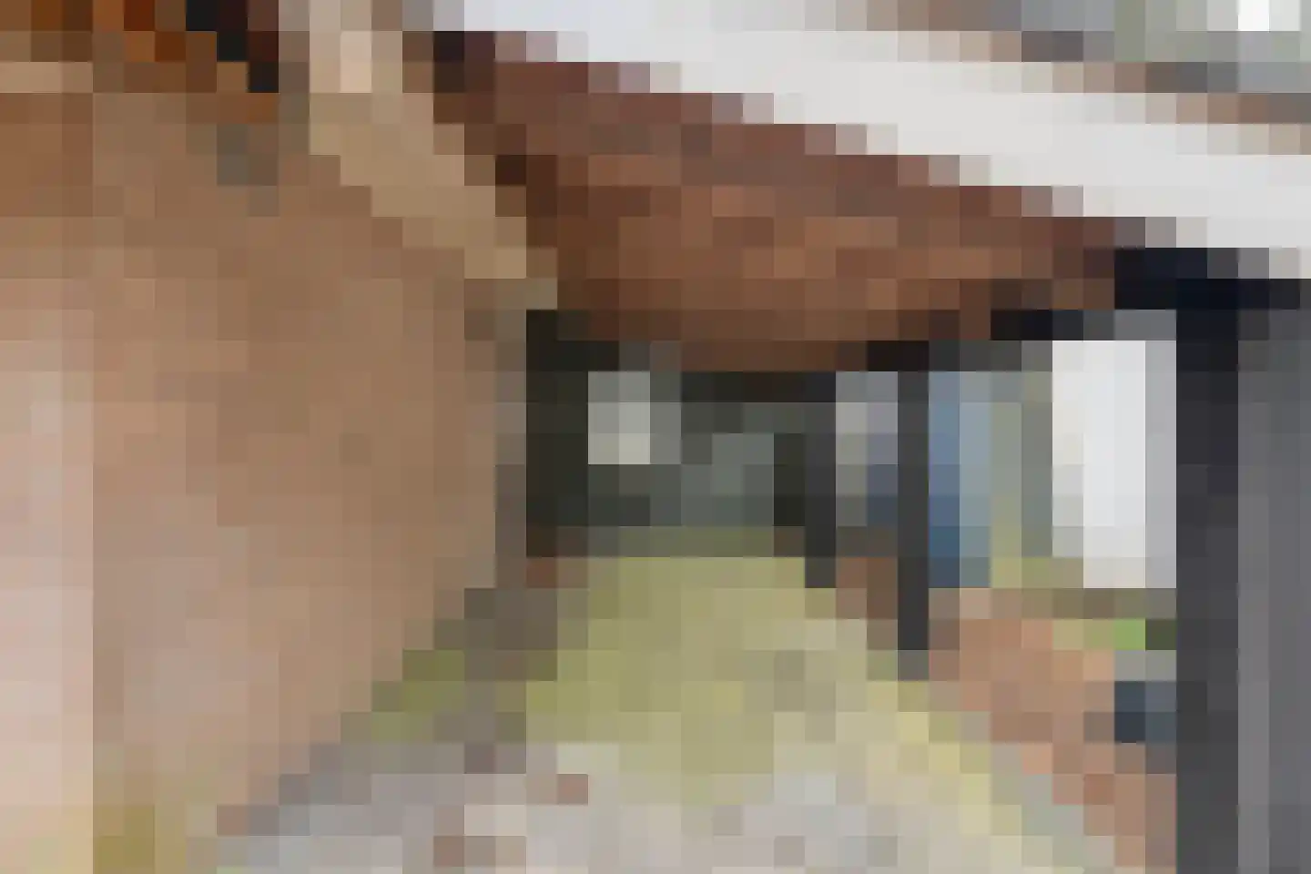 Elfde Wijk 40 a R22 Rheezerveen thumbnail 8