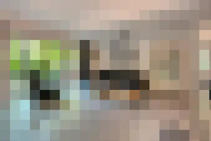 Elfde Wijk 40 a R41 Rheezerveen thumbnail 14