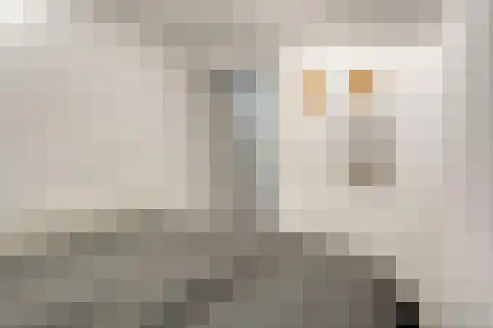 Elfde Wijk 40 a R41 Rheezerveen thumbnail 18