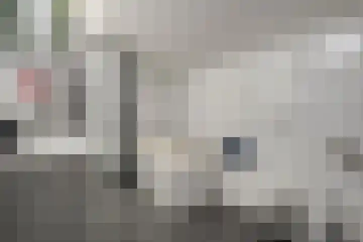Elfde Wijk 40 a R41 Rheezerveen thumbnail 19