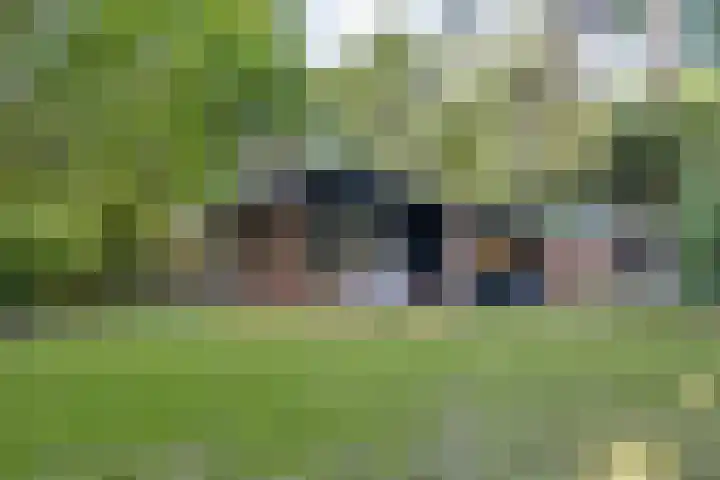 Elfde Wijk 40 a R41 Rheezerveen thumbnail 26
