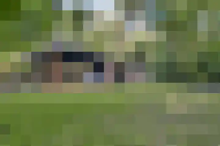 Elfde Wijk 40 a R41 Rheezerveen thumbnail 27