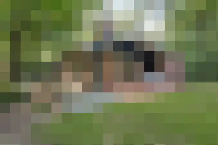 Elfde Wijk 40 a R41 Rheezerveen thumbnail 28