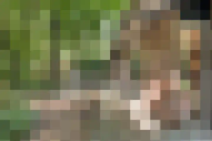 Elfde Wijk 40 a R41 Rheezerveen thumbnail 29