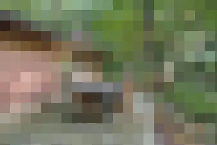 Elfde Wijk 40 a R41 Rheezerveen thumbnail 31