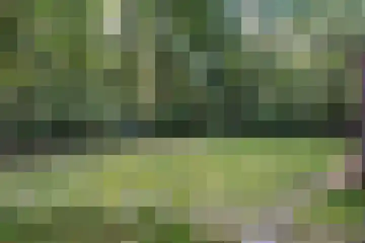 Elfde Wijk 40 a R41 Rheezerveen thumbnail 32
