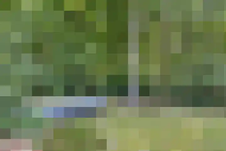 Elfde Wijk 40 a R41 Rheezerveen thumbnail 33