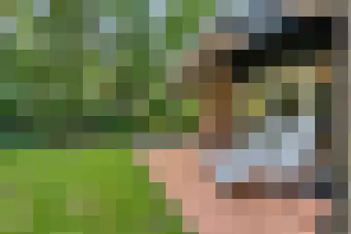 Elfde Wijk 40 a R41 Rheezerveen thumbnail 34