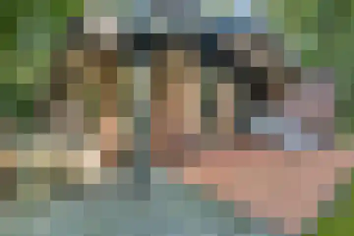 Elfde Wijk 40 a R41 Rheezerveen thumbnail 35