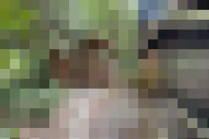 Elfde Wijk 40 a R41 Rheezerveen thumbnail 36