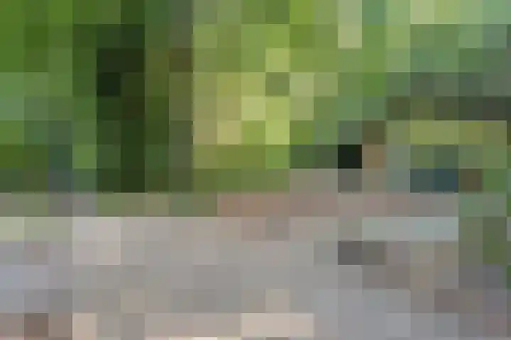Elfde Wijk 40 a R41 Rheezerveen thumbnail 37