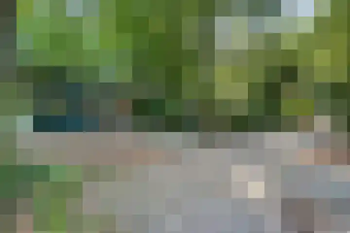 Elfde Wijk 40 a R41 Rheezerveen thumbnail 38