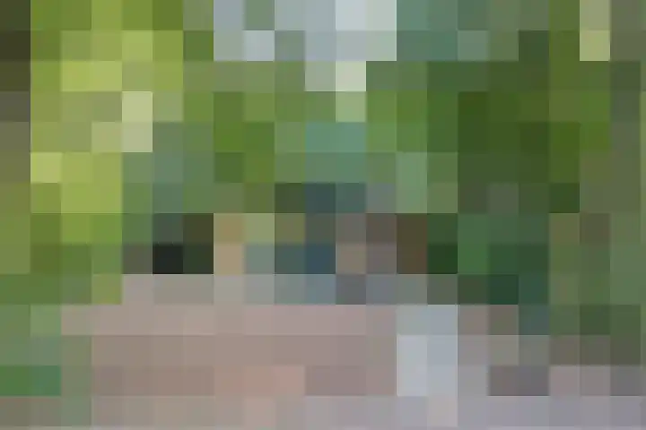 Elfde Wijk 40 a R41 Rheezerveen thumbnail 39