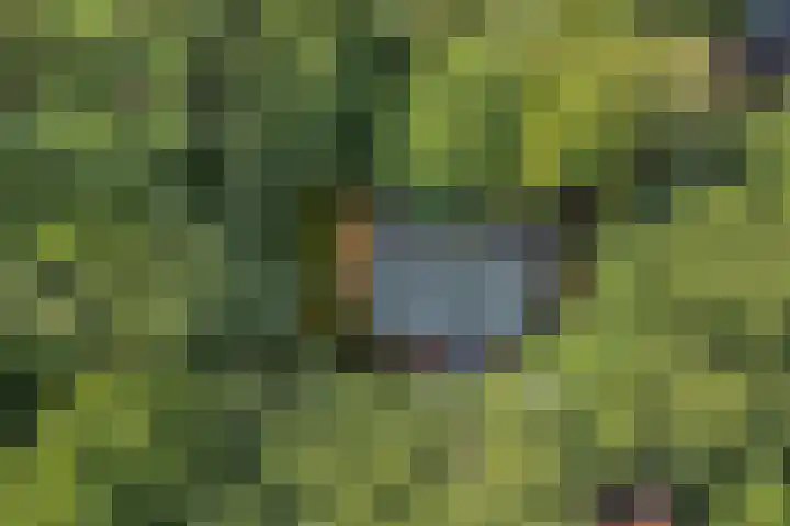 Elfde Wijk 40 a R41 Rheezerveen thumbnail 40