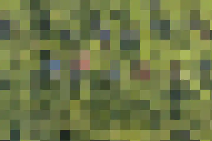 Elfde Wijk 40 a R41 Rheezerveen thumbnail 41