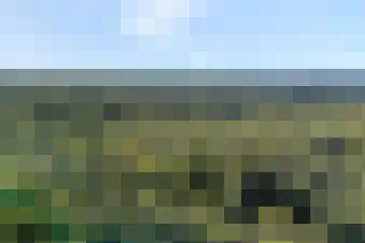Elfde Wijk 40 a R41 Rheezerveen thumbnail 42