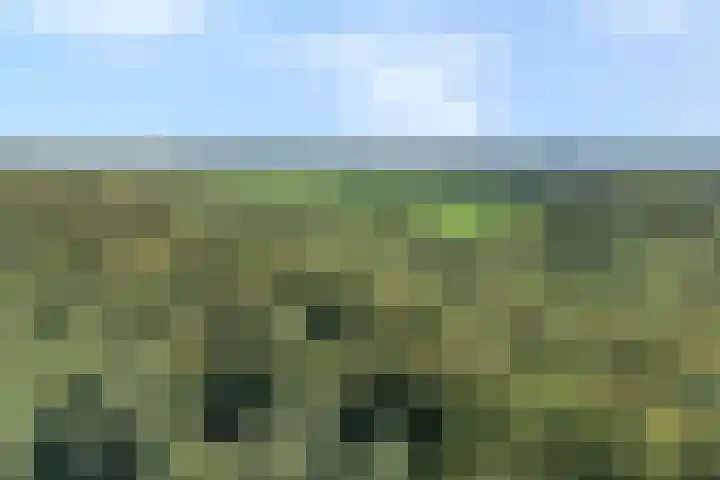 Elfde Wijk 40 a R41 Rheezerveen thumbnail 43