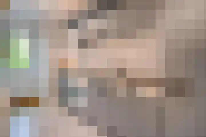 Elfde Wijk 40 a R41 Rheezerveen thumbnail 6