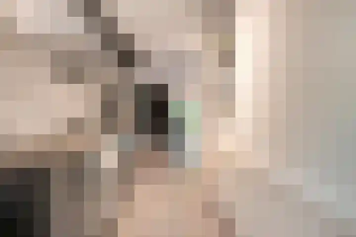 Elfde Wijk 40 a R41 Rheezerveen thumbnail 7