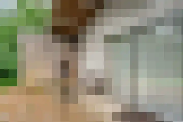 Elfde Wijk 40 a R54 Rheezerveen thumbnail 18