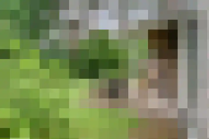 Elfde Wijk 40 a R54 Rheezerveen thumbnail 19