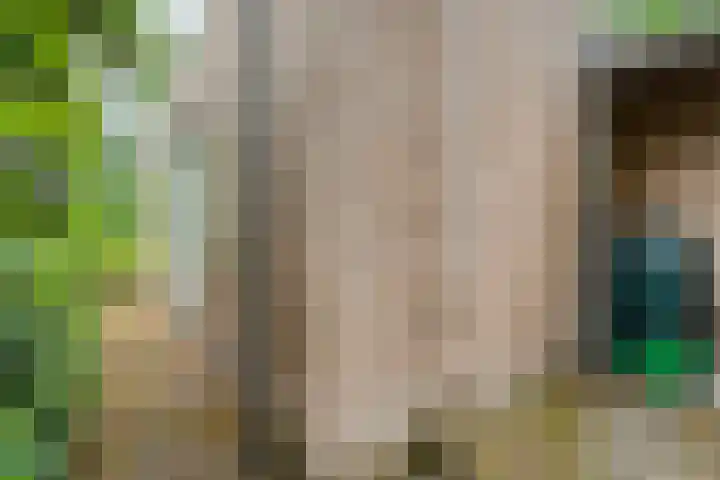 Elfde Wijk 40 a R54 Rheezerveen thumbnail 21