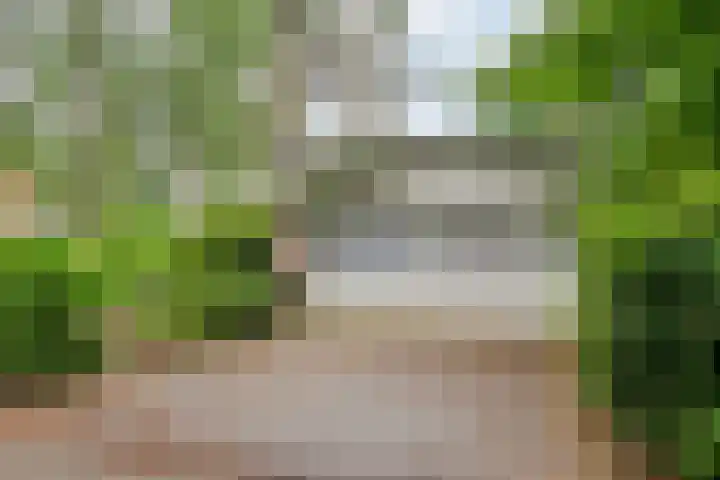 Elfde Wijk 40 a R54 Rheezerveen thumbnail 22