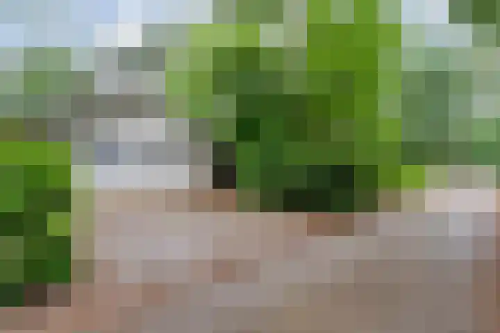 Elfde Wijk 40 a R54 Rheezerveen thumbnail 24