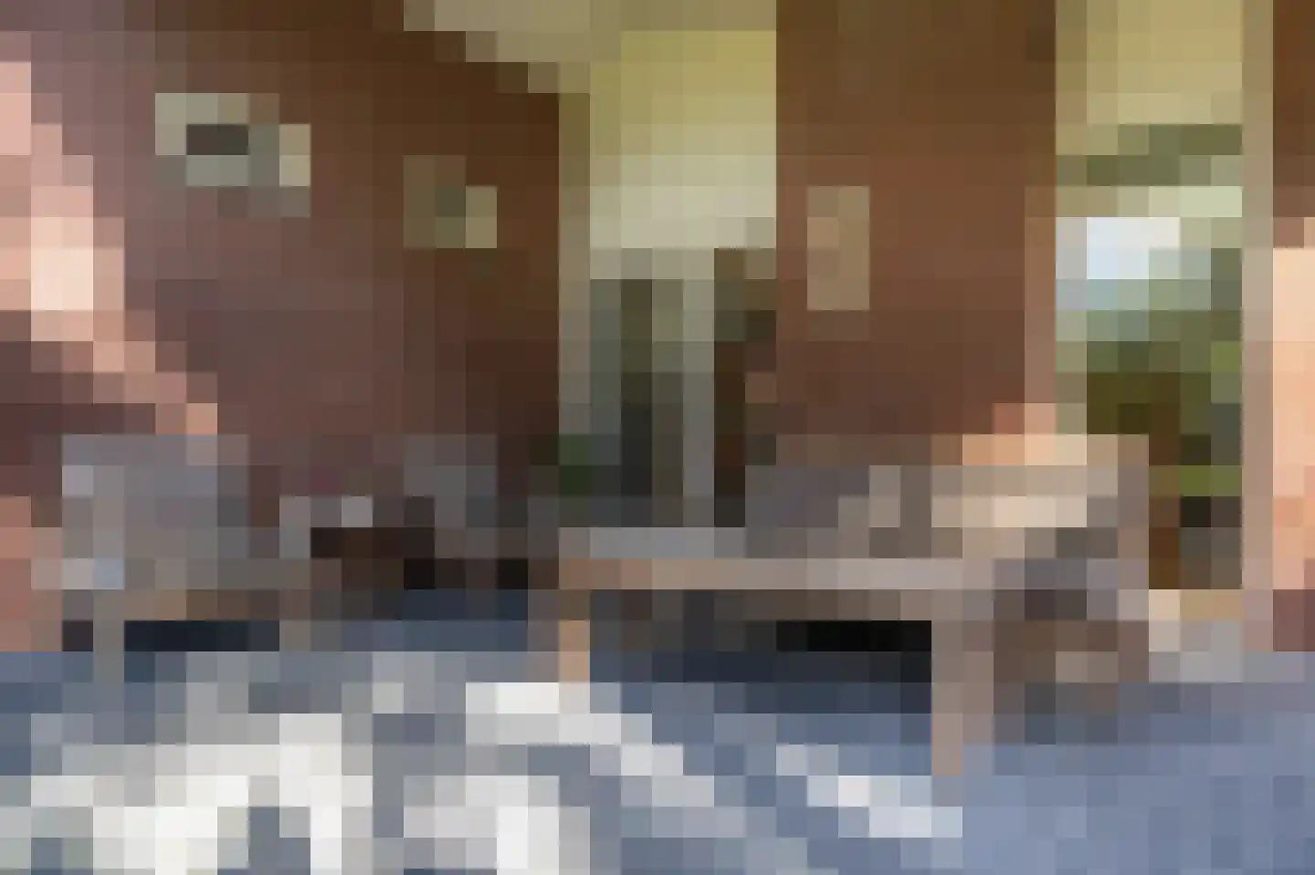 Elfde Wijk 40 a R57 Rheezerveen thumbnail 33