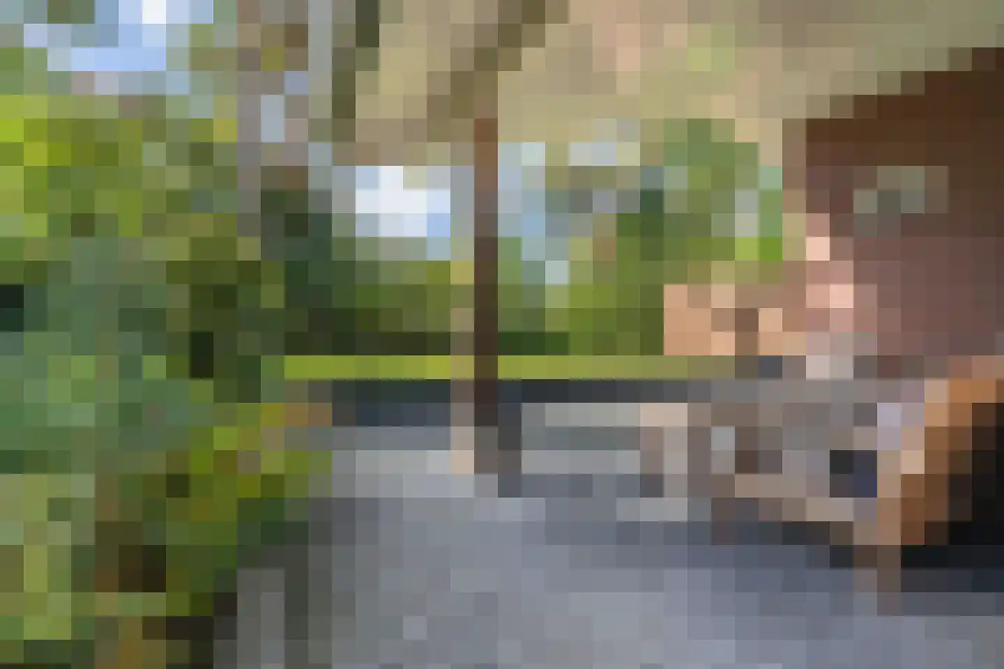 Elfde Wijk 40 a R57 Rheezerveen thumbnail 34