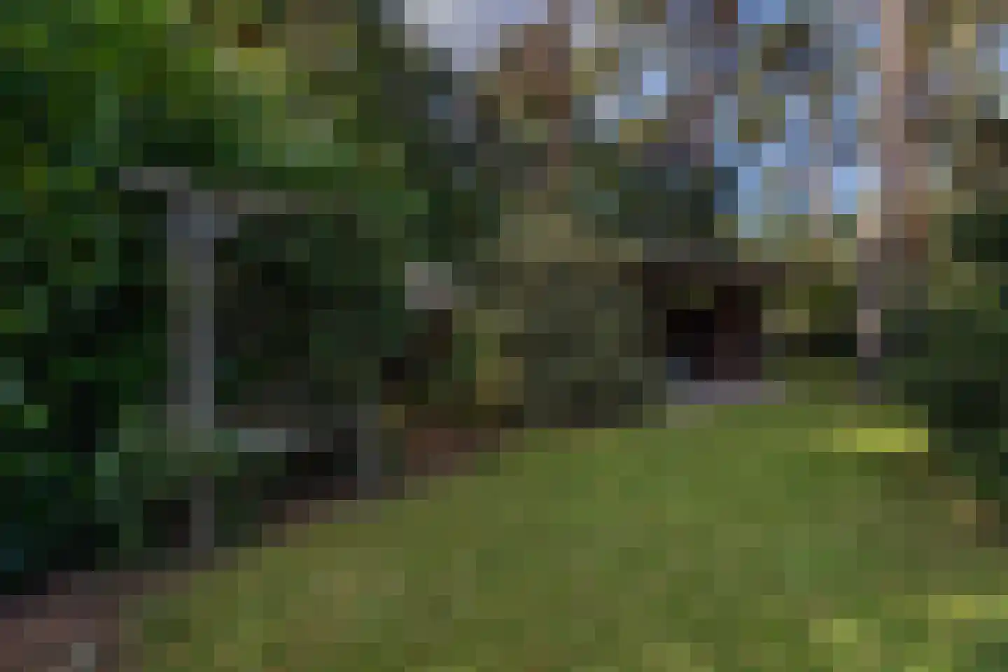 Elfde Wijk 40 a R57 Rheezerveen thumbnail 36